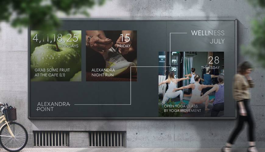 泾源县画册设计公司如何进行品牌审核